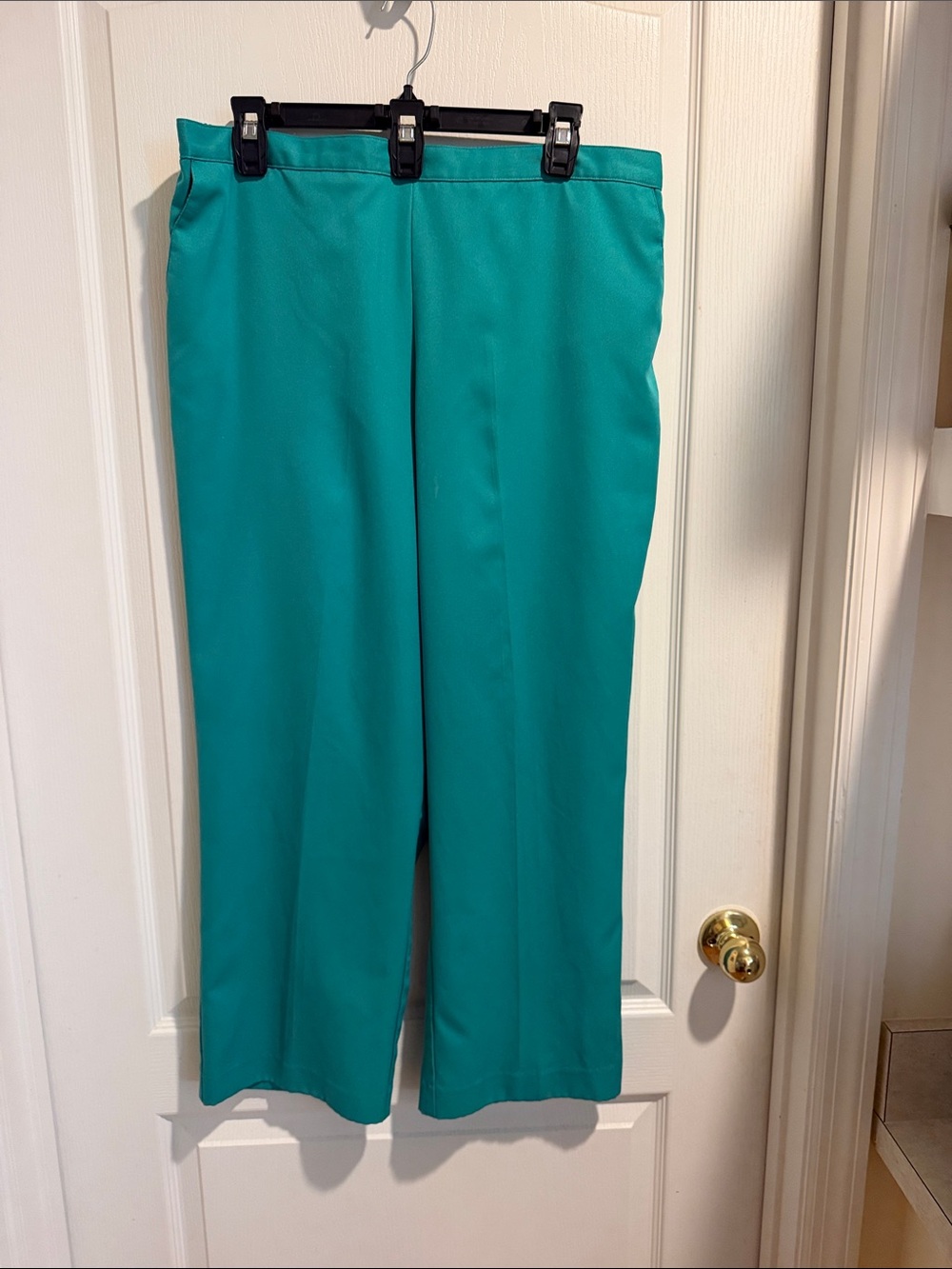 Alfred Dunner Teal Wide-Leg Dress Pants